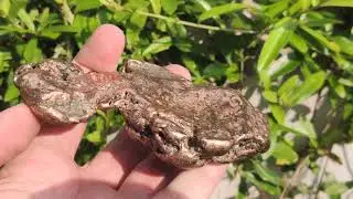 Copper nugget