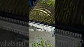 broad bean sheller machine / soybean peeling machine