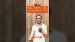 De la vigne au verre - partie 1