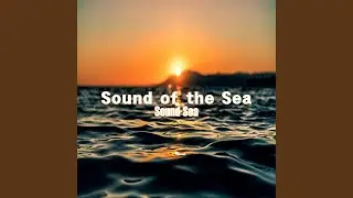Rich sea beach