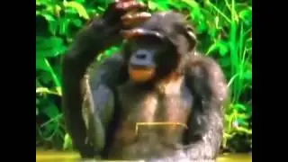 3 kere ağıza, 3 kere buruna    aha bok mu lan bu