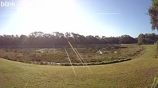Just one day in Oviedo... Alafaya Woods 💜