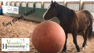 Pony Playing Soccer! // Versatile Horsemanship