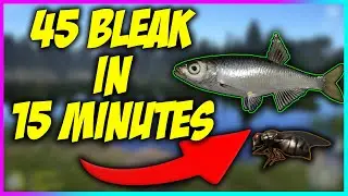 Russian Fishing 4 - VERY ACTIVE BLEAK SPOT FARMING (45 BLEAK IN 15 MINUTES)