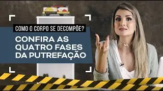 As quatro fases da putrefa&ccedil;&atilde;o e suas caracter&iacute;sticas