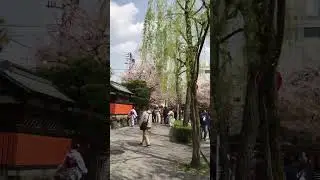 Ancient Kyoto looks nice. Kyoto, Japan