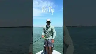 How to fly cast into the wind...Pro Tips