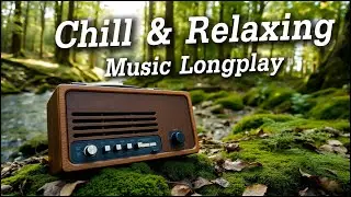 Chill & Relax Music Vol.13 | รวมเพลงสากลเพราะๆ ฟังสบาย ผ่อนคลายได้ทั้งวัน - Music for a Peaceful Day