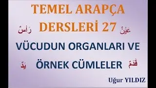 Arapça dersleri vücudun organları