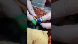 Coral Cutting #shazebgems