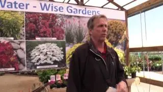 Spring Trials 2017: Terra Nova