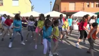 Flash mob Amici di Luna & Sam HD