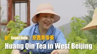 How Is Herbal Tea Made？🍵  See the Manufacturing Process in Beijing｜ Super Gulp S1 E2