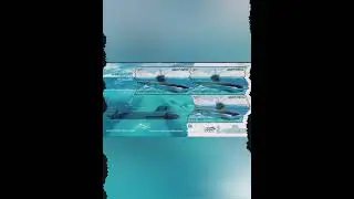 indian first submarine