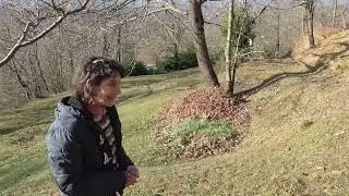 Lavori d'inverno in orto  giardino