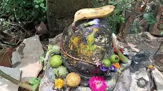 Happy savan har har Mahadev#vlogs #viralvideo #youtube 🔱🔱🔱🔱👍
