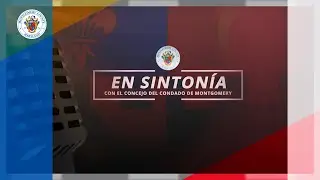 En Sintonia TV 395  - Councilmember Gabe Albornoz