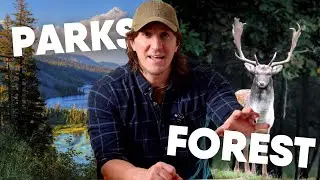 National Parks VS. National Forests VS. BLM Land (The Difference in Under Three Minutes)