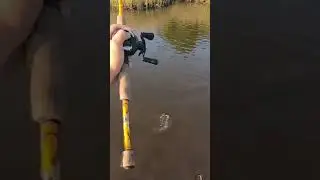 #fishing #catchingfish #spinnerfishing
