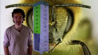 Innovate 4 Nature Lausanne   Pitch BeeHelpful &ndash; Gianmario Riganti