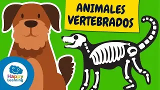 🐾 Aprende los ANIMALES VERTEBRADOS al Completo | Vídeos Educativos para Niños | @HappyLearningES