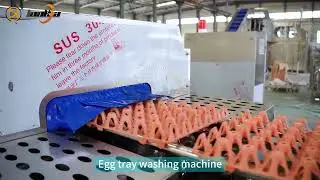 🎥 Ultimate Egg Tray Washing Machine in Action! 🥚💦