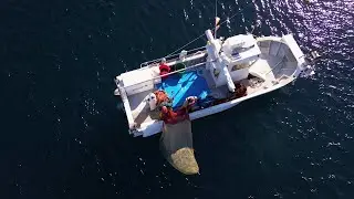 Weaving ancestral nets - The Jonquillera
