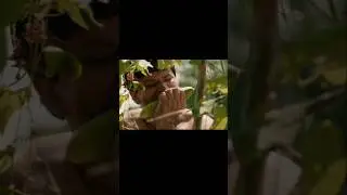 Ananta odia film #movie #sabyasachi # songs #ytshorts