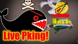 Baby Pure Pking In Whale Gear! OSRS PVP