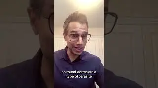 Worm in the Brain?!🧠