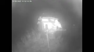 Male Barn Owl Arrives at the House.  Owl Box OSC - 10/28/23 - 11:18 pm