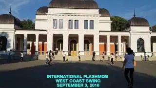 West Coast Swing International Flashmob, 2016 Cluj-Napoca