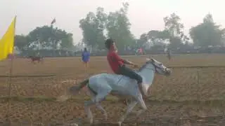 ঘোড়া খেলা দেখার জন্য অনেক মানুষ। ২০২৬ সালের ভাইরাল ভিডিও 📸