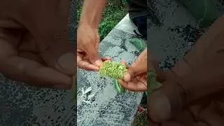 Karpas ar Choto Bhai🤣 #viral #ashortaday #youtubeshorts #shorts