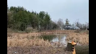 Exploring and fishing local ponds in York Region Ontario for anything that bites.  Got free bait!