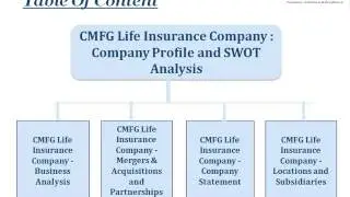 CMFG Life Insurance Company : Company Profile and SWOT Analysis - JSB Market Research