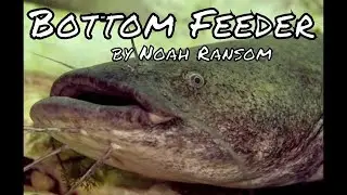 BOTTOM  FEEDER by Noah Ransom | @noahransommusic1195 #singersongwriter #noah