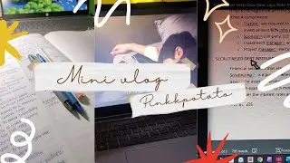 Mini vlog✦&deg;．&bull;💻📓| studying| typing |kdrama| @pinkkpotato 
