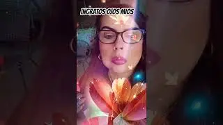 LAS JILGUERILLAS! INGRATOS OJOS MIOS,