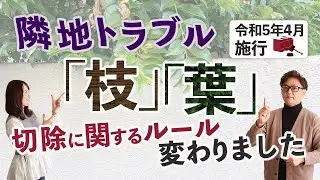 【隣地トラブル】越境法律の改訂で、隣の家の木を勝手に切れるようになりました。細かいルールを説明します。