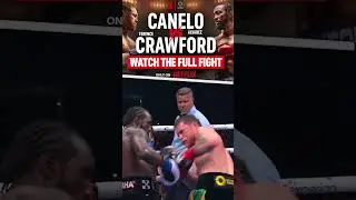 WOW! Terence Crawford GOES BEAST MODE on Canelo!