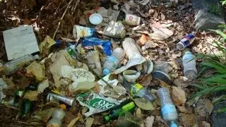Destroying Eco Systems.