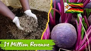 7 Farming Business Ideas Making MILLIONS &ndash; But Zimbabweans Don't Know
