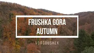 DJI Mini 3 PRO. 4K video. Frushka Gora Autumn. Vojvodina, Serbia