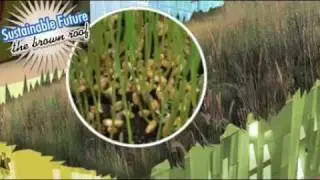 BROWN ROOF Animation