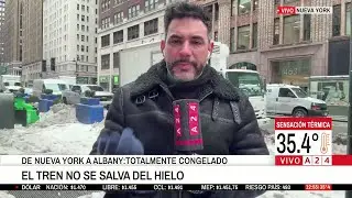 DÍA DE LA MARMOTA EN EE.UU.  +  LLUVIA DE IGUANAS CONGELADAS POR LA OLA DE FRÍO EN MIAMI