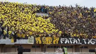 Fatal tigers ,Fel maroc kayen mouvement لوحة رائعة من جمهور المغرب الفاسي