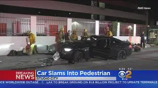 Driver Arrested After BMW Hops Curb, Lands On Sleeping Homeless Man