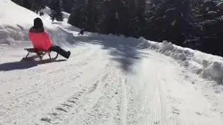 Pista slittini Absam - Obereggen
