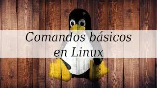 Comandos básicos en Linux | Práctico | 2022